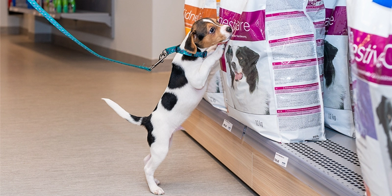 Djurbutik, foder, veterinärfoder, friskfoder, Djurkliniken Höllviken