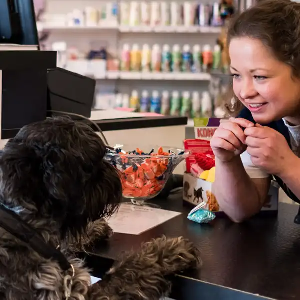 Veterinär Staffanstorp