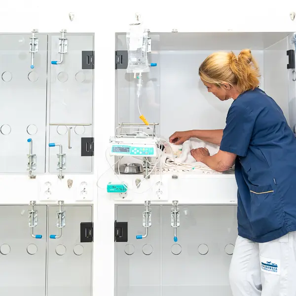 Djursjukhus Veterinär Lund