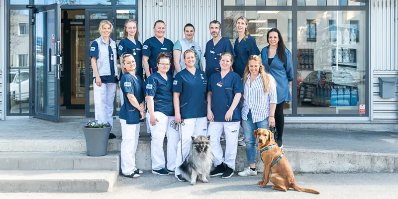 Täby Djursjukhus - Veterinär i Täby